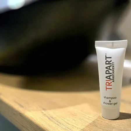 Seashell By Triapart ヤンタル