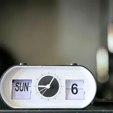 Seashell By Triapart