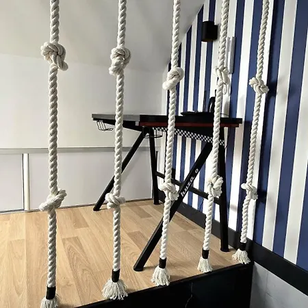 Seashell By Triapart ヤンタル