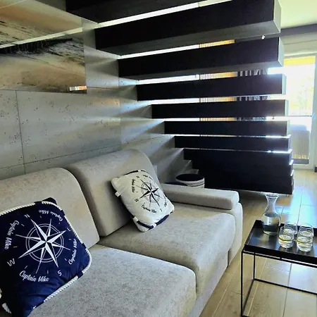 Seashell By Triapart ヤンタル