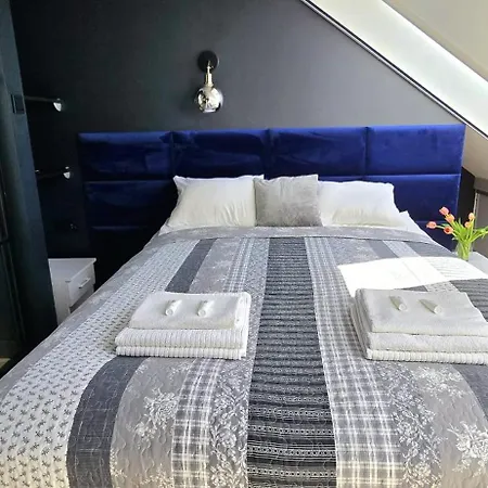 Seashell By Triapart ヤンタル