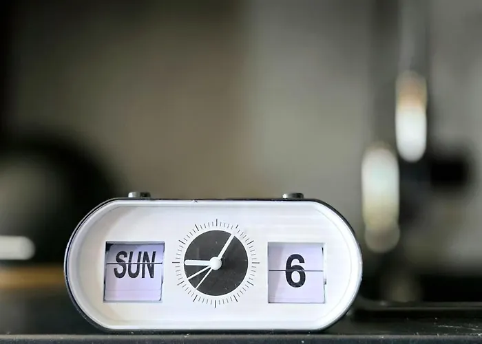 Seashell By Triapart